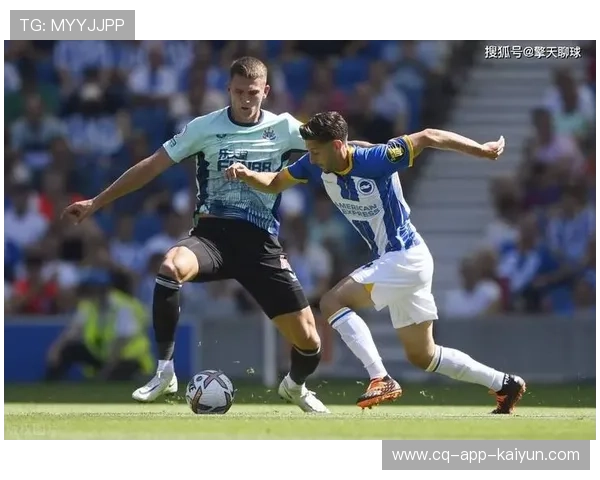 海鸥军团低价引援成功，打造实力强阵迎接新赛季